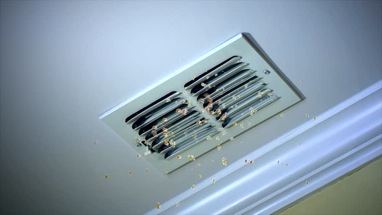 Best Best Air Duct Cleaning Company  in Boulevard Park, WA